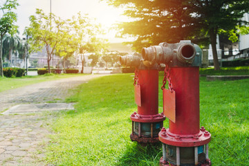 Two red fire hydrants in the lawn