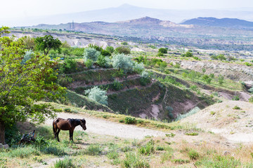 Wall Mural - country landscape near Uchisar town in Cappadocia