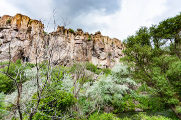 Wall Mural - trees in old gorge of Ihlara Valley in Cappadocia