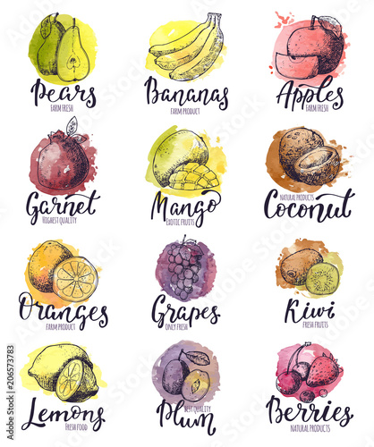 Fruits vector fruity apple banana and exotic mango with fresh slices and wate...