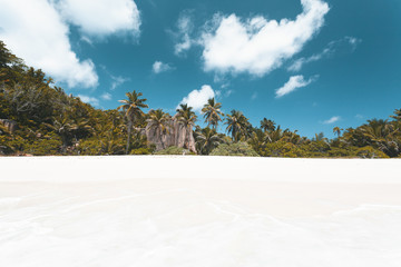 Wall Mural - Tropical Beach in Seychelles