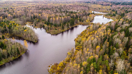 Wall Mural - autumn landscape, blue sky,yellow the forest and the lake photos with height