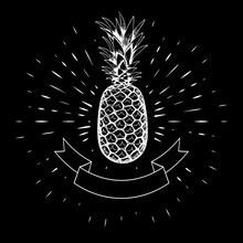 Pineapple Hand Drawn, White Contour On The Background Of Linear Rays. Calligraphy. Ribbon, Flag. For Design Of Posters, Banners, Logos. Black Background. 10 Eps