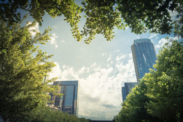 Wall Mural - Vintage tone green public city park in downtown Dallas sunny day. Green tree lush canopy with modern buildings in background cloud blue sky. Urban recreation and outdoor activities concept.