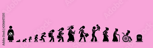 Fotomural Female life cycle and aging process