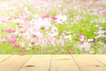 Wall Mural - wooden table and cosmos flower