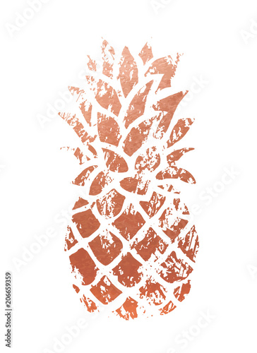 ilustracja-ananas-miedziany-modny