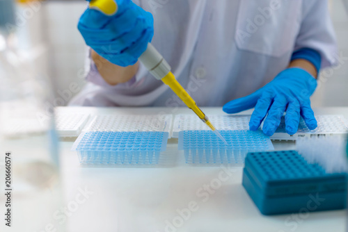 Fotografía Close-up for hands of a researcher pipetting samples in micro plate; woman scientist in lab holding a 96 well plate with samples for analysis