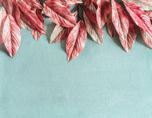 Beautiful Pink Leaves Border On Pastel Blue Background , Top View, Flat Lay. Nature Concept