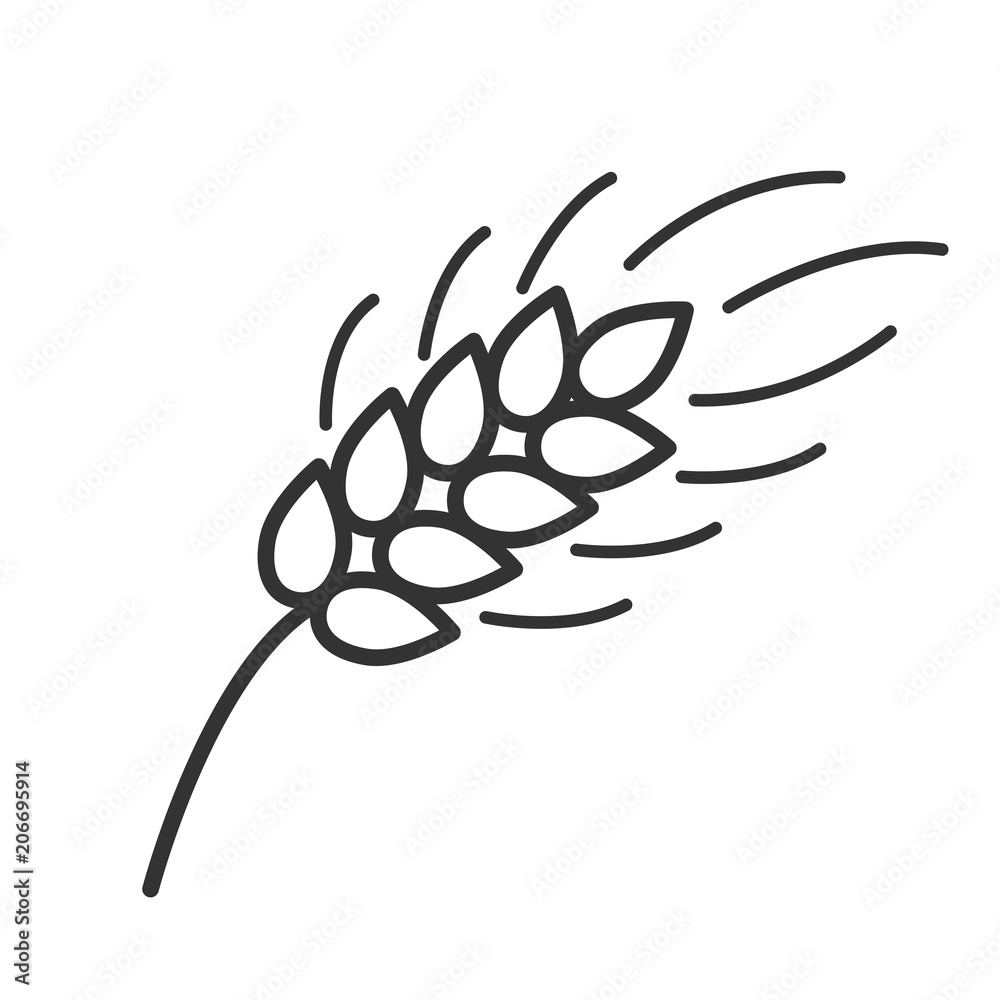 Black isolated outline icon of ear of wheat on white background. Line Icon  of ear of wheat. Stock Vector | Adobe Stock, image size:1000x1000