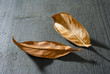 dried bay leaves on black wooden table