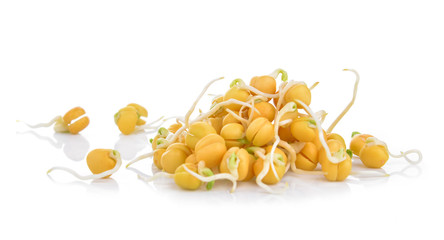 Wall Mural - pea sprouts on white background