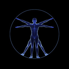 Poster - A human figure like Leonard Da Vinci s Virtual man in anatomy concept isolated on black background. 3d illustration