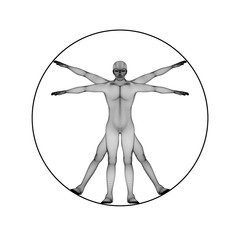 Poster - A human figure like Leonard Da Vinci s Virtual man in anatomy concept isolated on white background. 3d illustration