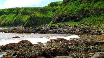 Wall Mural - Okhotsk Sea, Iturup Island, Russia. Sea waves break up on coastal rocks covered with algae. 