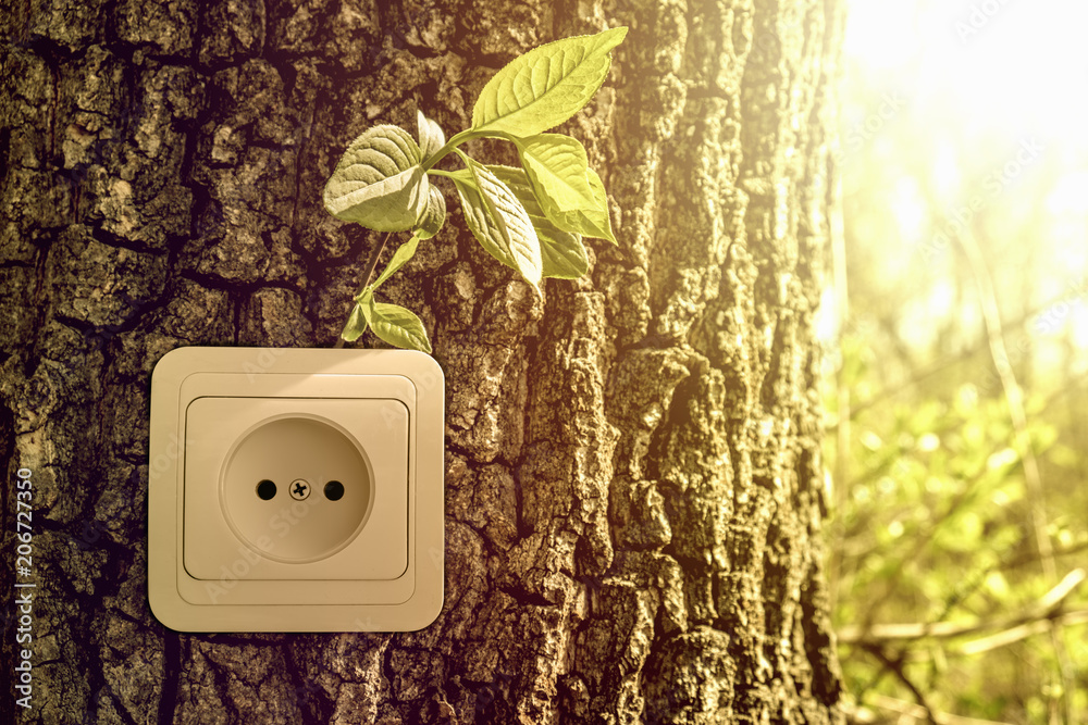 Green energy concept, power socket in tree trunk - obrazy, fototapety, plakaty 