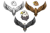 Fototapeta Konie - American eagle set. Bald eagle logo. Wild birds drawing. Head of an eagle. Vector graphics to design.