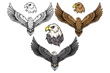 american eagle set. bald eagle logo. wild birds drawing. head of an eagle. vector graphics to design
