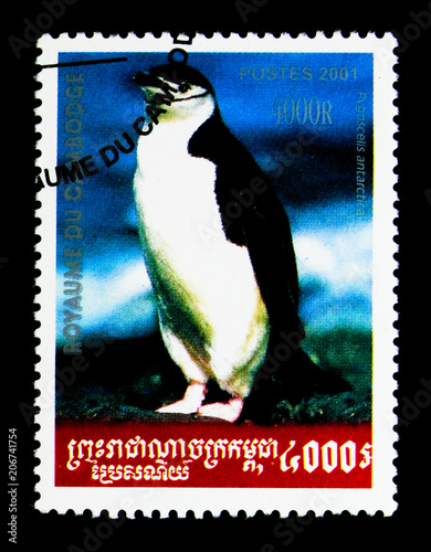 Fotografia, Obraz Chinstrap Penguin (Pygoscelis antarctica), Pinguin serie, circa 2001