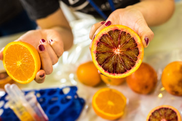 Bloodye Orange cut in half