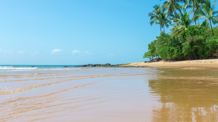 Poster - Amazing barra grande beach in Peninsula do Marau