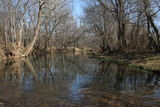 Fototapeta Pomosty - Quiet Creek