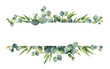 Watercolor vector green floral banner with silver dollar eucalyptus leaves and branches isolated on white background.