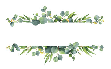 watercolor vector green floral banner with silver dollar eucalyptus leaves and branches isolated on 