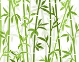 Fototapeta Sypialnia - Bamboo background japanese asian plant wallpaper grass. Bamboo tree vector pattern