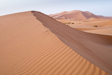  pink hill with waves in Sahara desert in Morocco