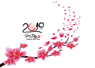 Poster - Sakura flowers background. Cherry blossom isolated white background. Chinese new year (hieroglyph Pig)