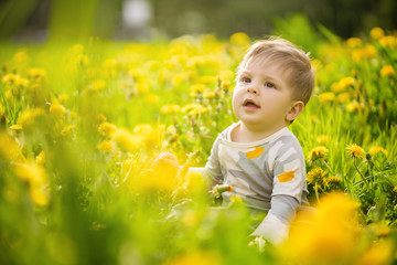 Wall Mural - Concept: family values. Portrait of adorable innocent funny brown-eyed baby playing outdoor in the sunny dandelions field.