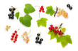 Fresh red currant, black currant and white currant berries with leaves on white.
