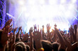 © NDABCREATIVITY - Portrait of happy crowd enjoying at music festival