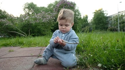 Wall Mural - Concept: family values. Adorable innocent funny brown-eyed baby playing at outdoor playground under care of his hipster parents. Wide angle handheld shot 4k 30fps