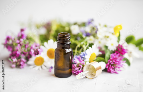 Fotografie, Obraz Essential oil with medicinal plants and flowers