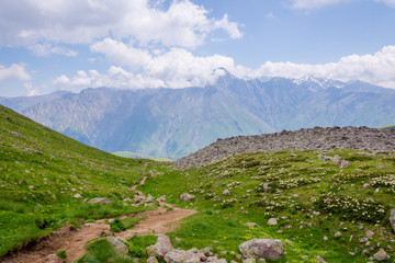 Wall Mural - Mountain path in Kazbegi, Georgia