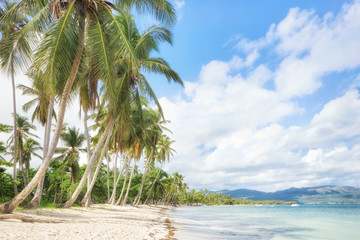 Sticker - Panorama of secluded beach of, Las Galeras, Dominican Republic