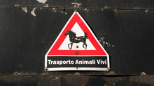 Trasporto Animali Vivi