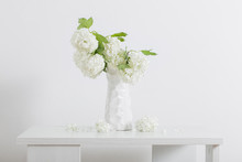 Branches Of Decorative Viburnum In A Vase On White Background