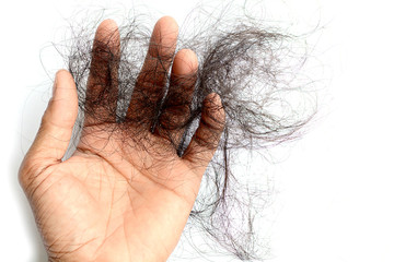 Hair loss, hair fall everyday serious problem, on white background.