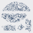 © Danussa - Floral graphic design elements, in vintage style