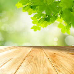 Wall Mural - wooden table top with copy space for products and blurred green background and with tree leaves and 