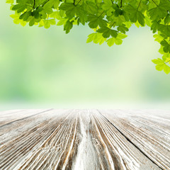 Wall Mural - white and gray shabby chic styled wooden table top with copy space for products and blurred green ba