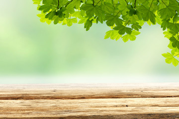 Wall Mural - brown wooden table top with copy space for products and blurred green background with tree leaves an