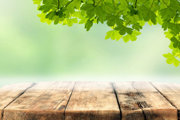 Wall Mural - old wooden table top with copy space for products and blurred green background with tree leaves and 