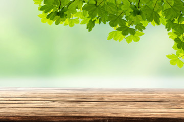 Wall Mural - wooden table top with copy space for products and blurred green background with tree leaves and brun