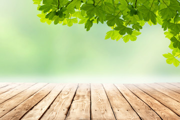 Wall Mural - wooden table top with copy space for products and blurred green background with tree leaves and brun