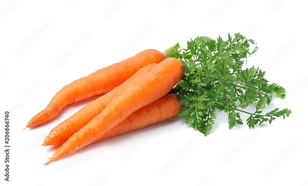 Fresh carrots isolated closeup . - obrazy, fototapety, plakaty 