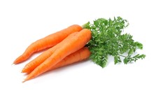 Fresh Carrots Isolated Closeup .